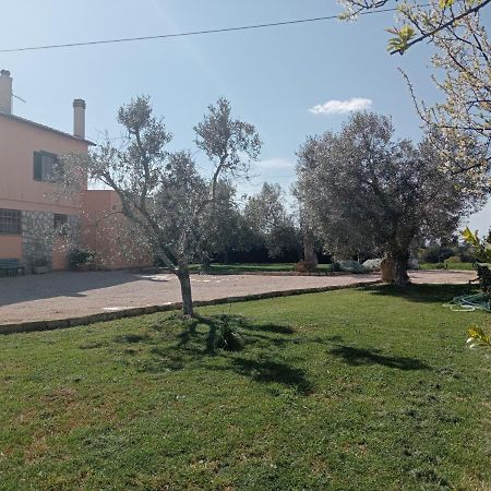 Villa In Campagna Tra Natura E Verde Montalto di Castro Eksteriør billede