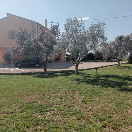 Villa In Campagna Tra Natura E Verde Montalto di Castro Eksteriør billede