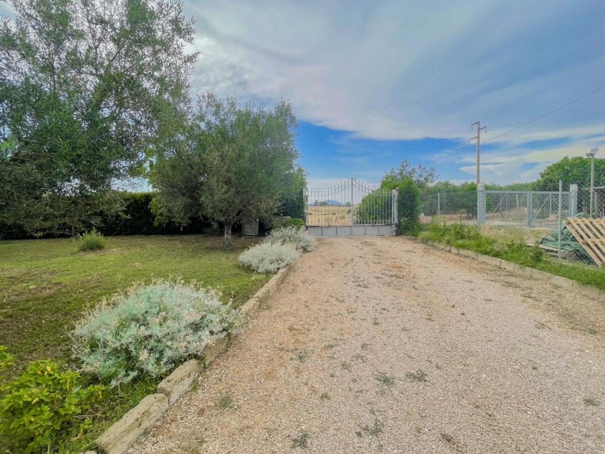 Villa In Campagna Tra Natura E Verde Montalto di Castro Eksteriør billede