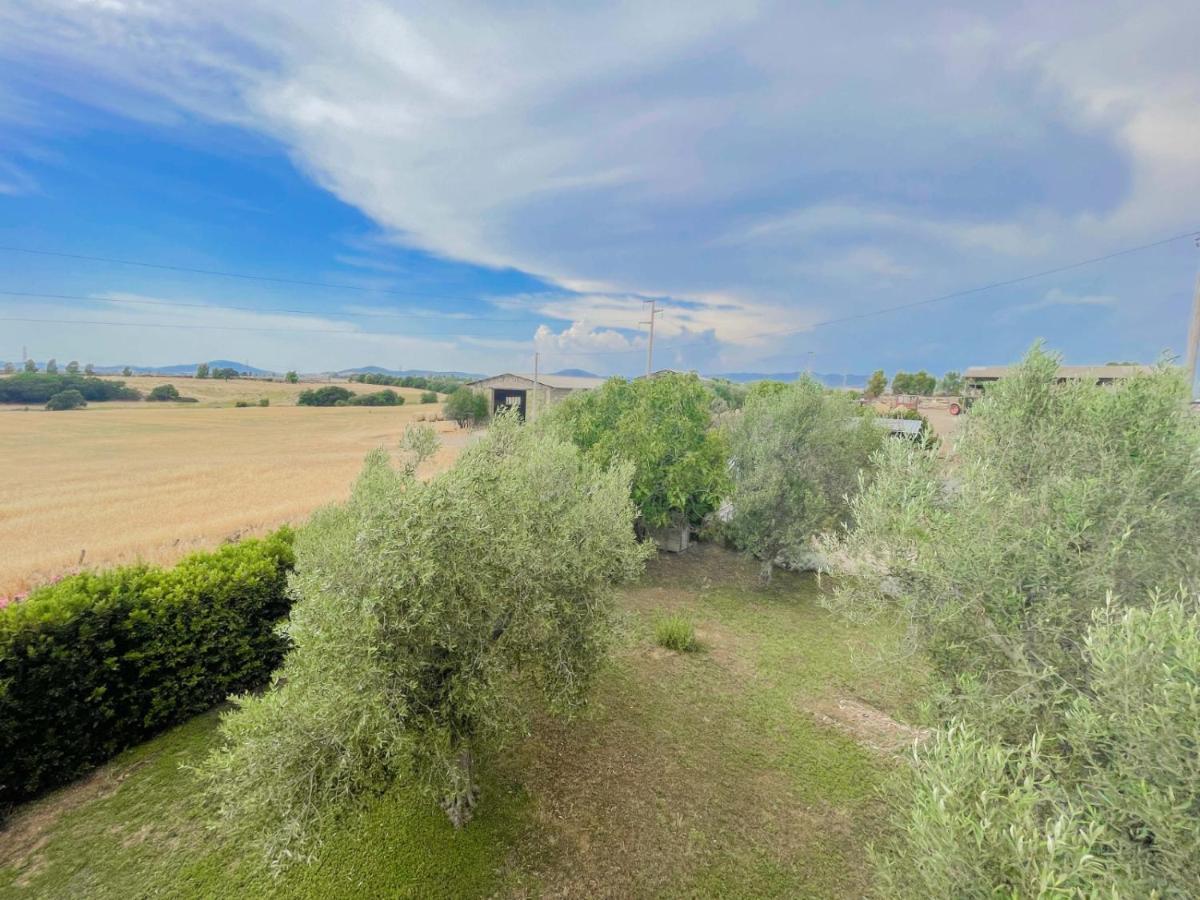 Villa In Campagna Tra Natura E Verde Montalto di Castro Eksteriør billede