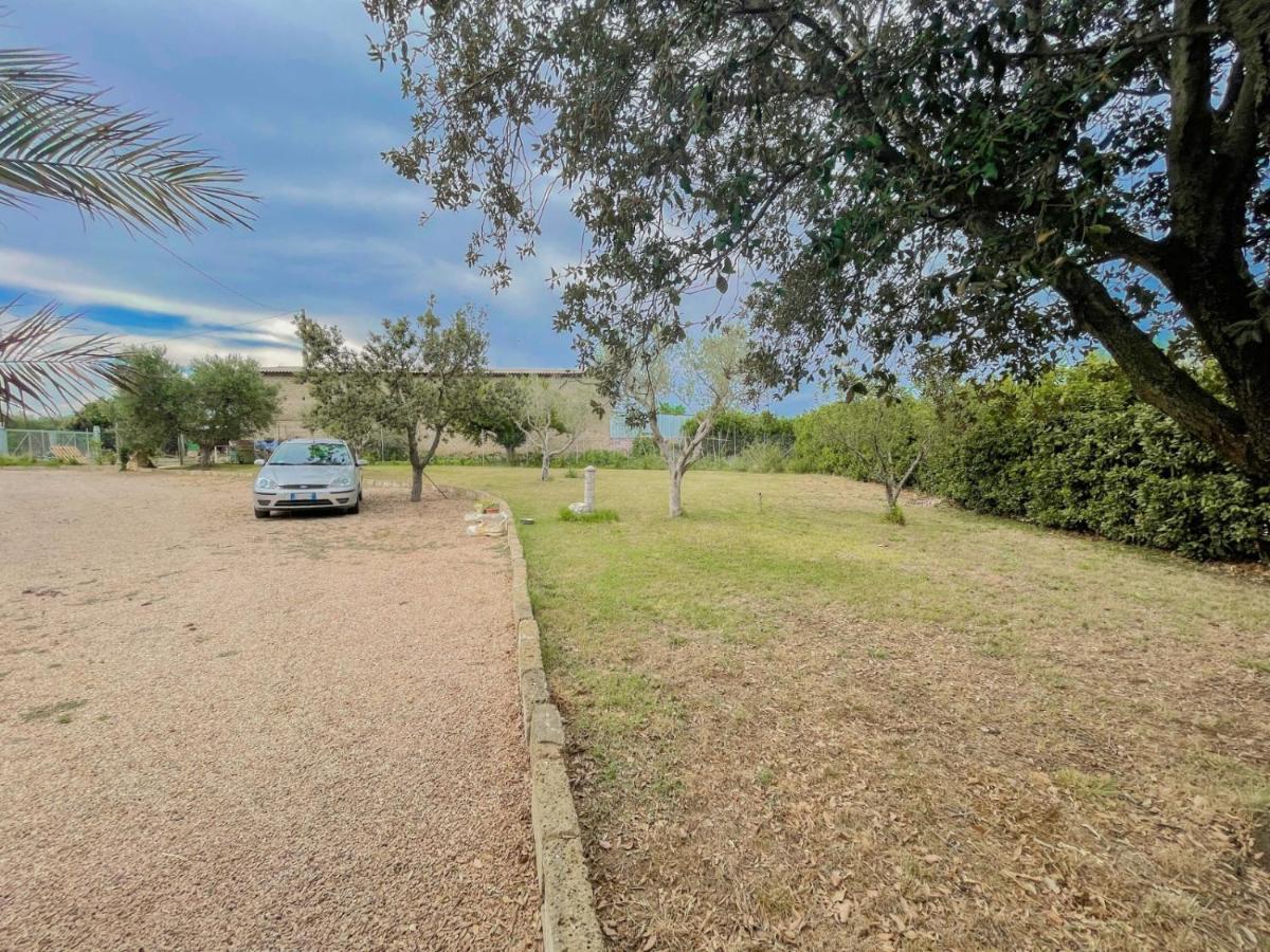 Villa In Campagna Tra Natura E Verde Montalto di Castro Eksteriør billede