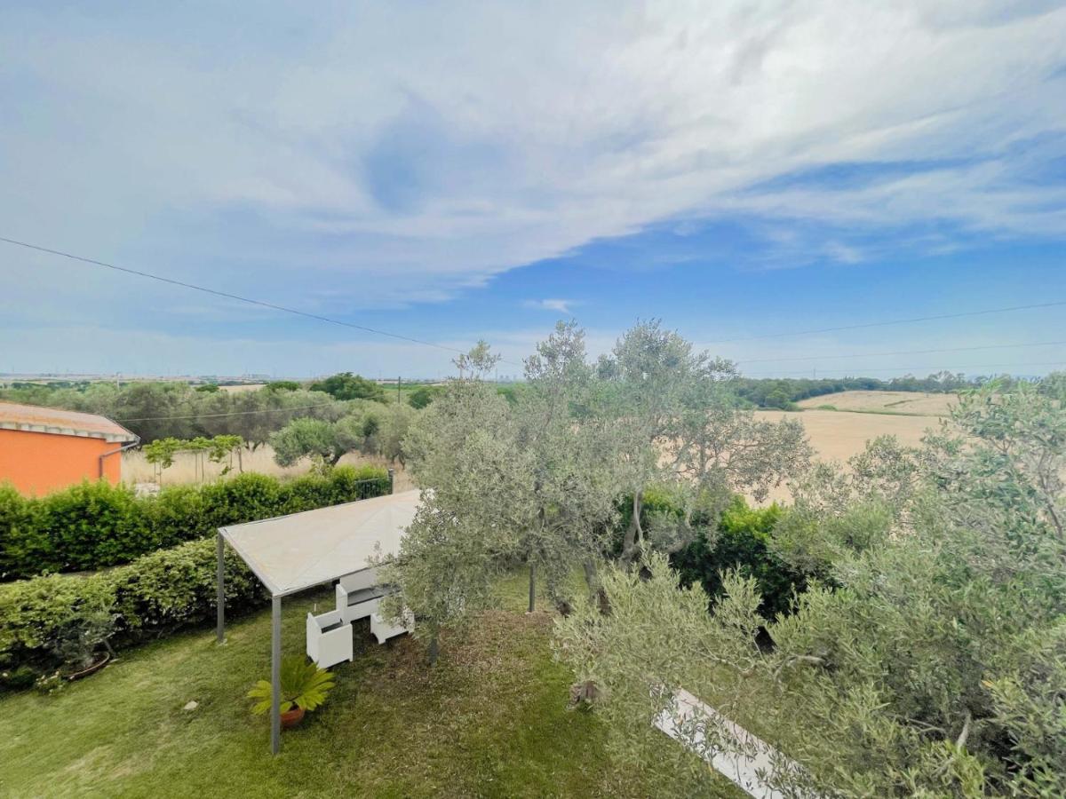 Villa In Campagna Tra Natura E Verde Montalto di Castro Eksteriør billede