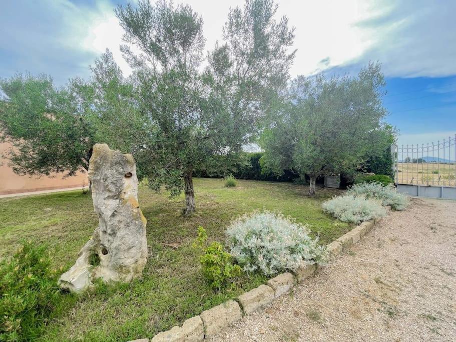 Villa In Campagna Tra Natura E Verde Montalto di Castro Eksteriør billede