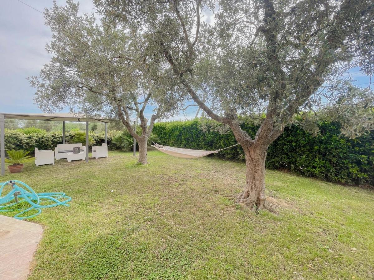 Villa In Campagna Tra Natura E Verde Montalto di Castro Eksteriør billede