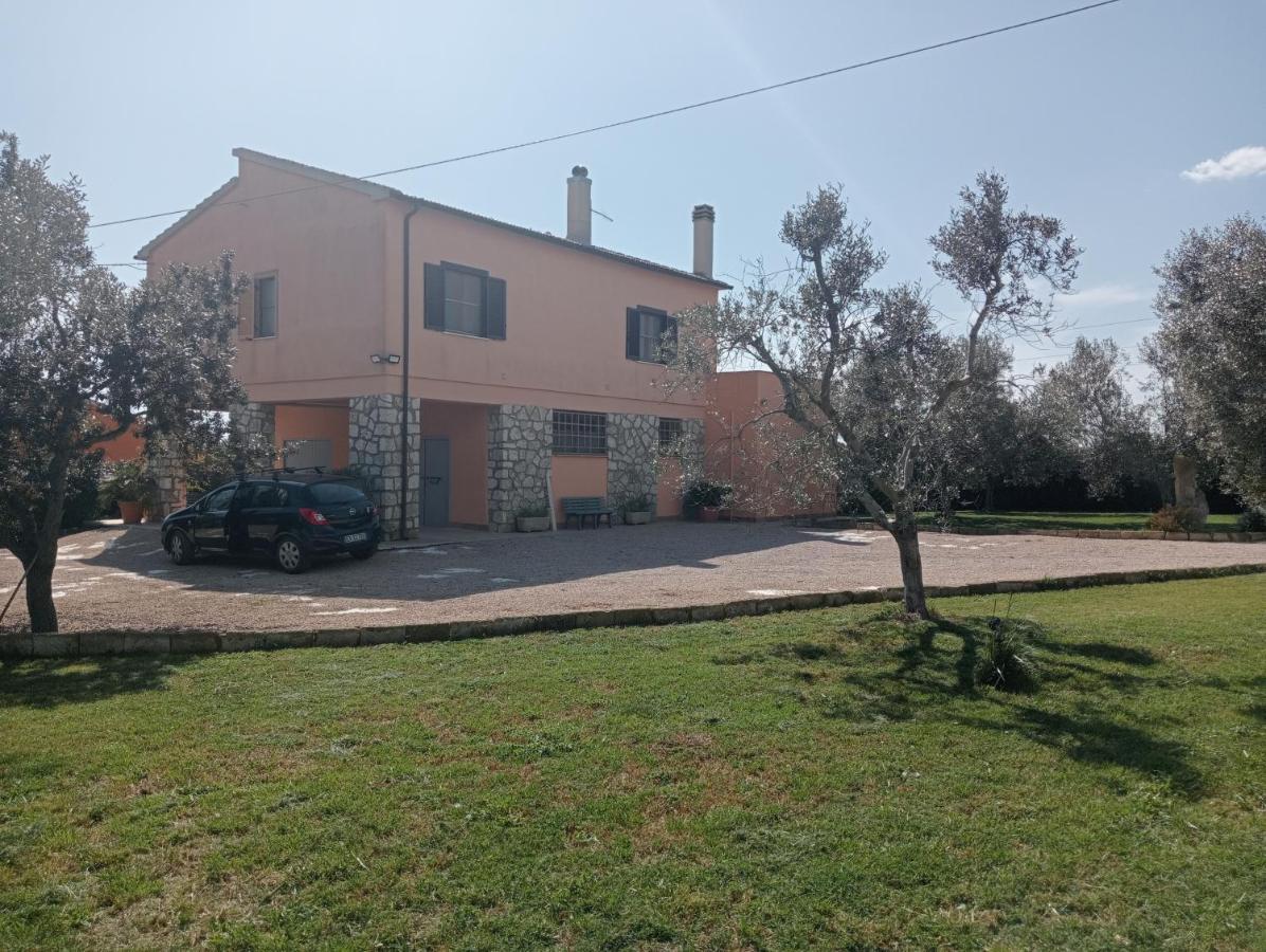 Villa In Campagna Tra Natura E Verde Montalto di Castro Eksteriør billede