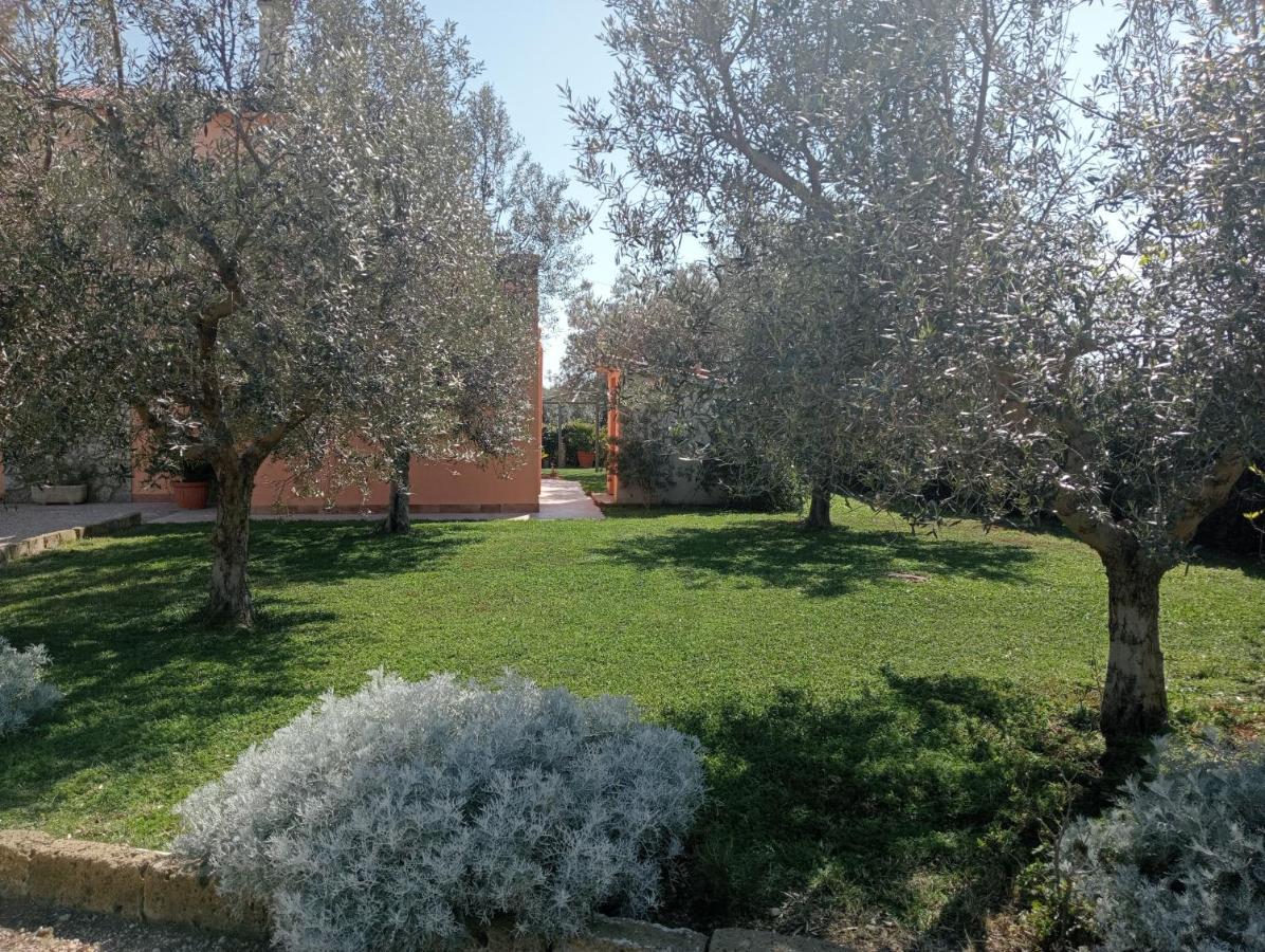 Villa In Campagna Tra Natura E Verde Montalto di Castro Eksteriør billede