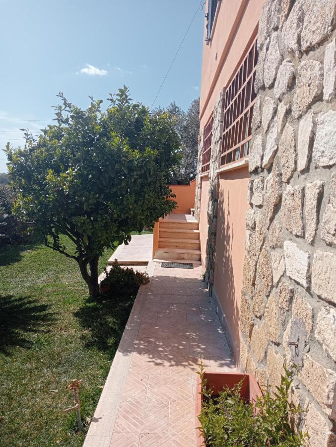 Villa In Campagna Tra Natura E Verde Montalto di Castro Eksteriør billede