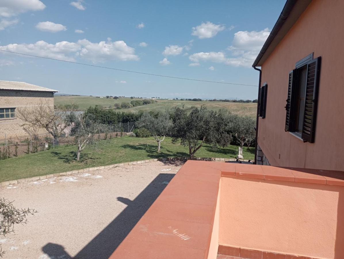 Villa In Campagna Tra Natura E Verde Montalto di Castro Eksteriør billede